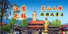:操中国小骚B免费视频江苏无锡灵山大佛旅游风景区